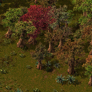 Trees in world.png