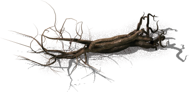 File:Dead dry hairy tree.png