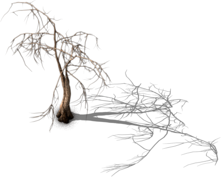 File:Dry hairy tree.png