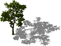 Green-thin-tree.png