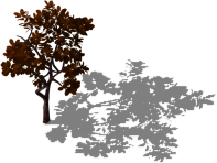 Red-thin-tree.png