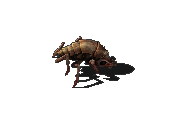 File:Small biter.png