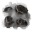 Coal synthesis.png