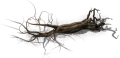 Dead dry hairy tree.png