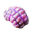 Jellynut.png