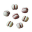 Jellynut seed.png