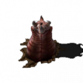 Medium worm.png