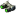 Nightvision.png