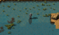 Player in shallow water.png