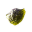 Small carbonic asteroid