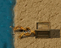 Thumbnail for version as of 09:43, 11 December 2019